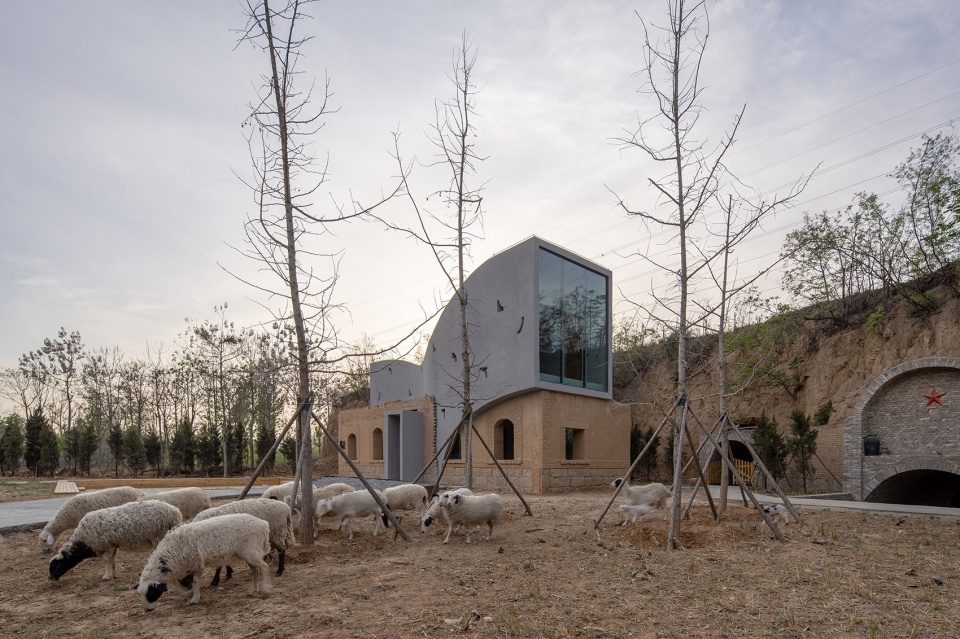 Library in Ruins ATELIER XI