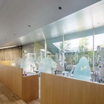 林中诊所，日本 / Takashige Yamashita Ofﬁce