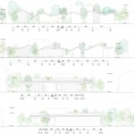 林中诊所，日本 / Takashige Yamashita Ofﬁce