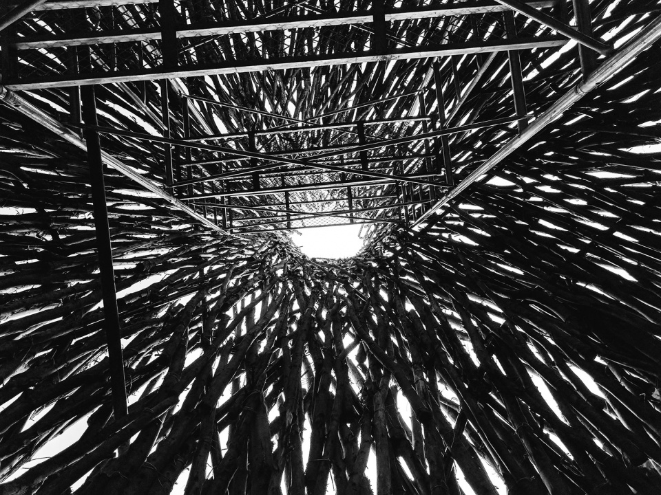 Nonggang Forest Park Visitor Center Origin Architect