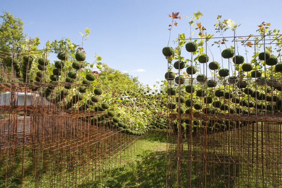 kokedama forest by nomad studio