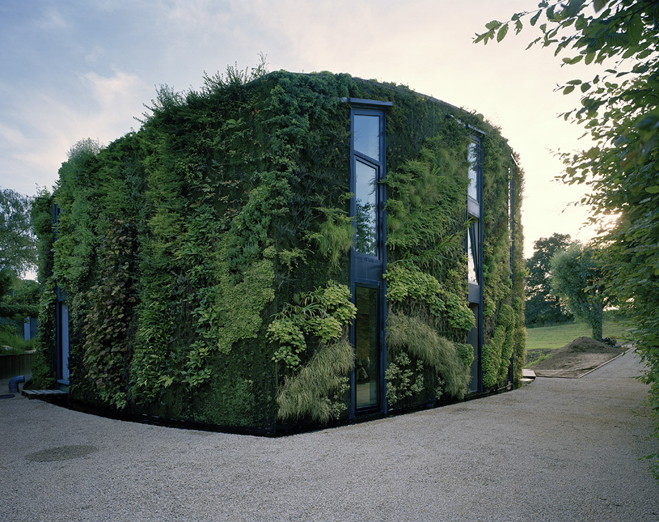 gooood archive green