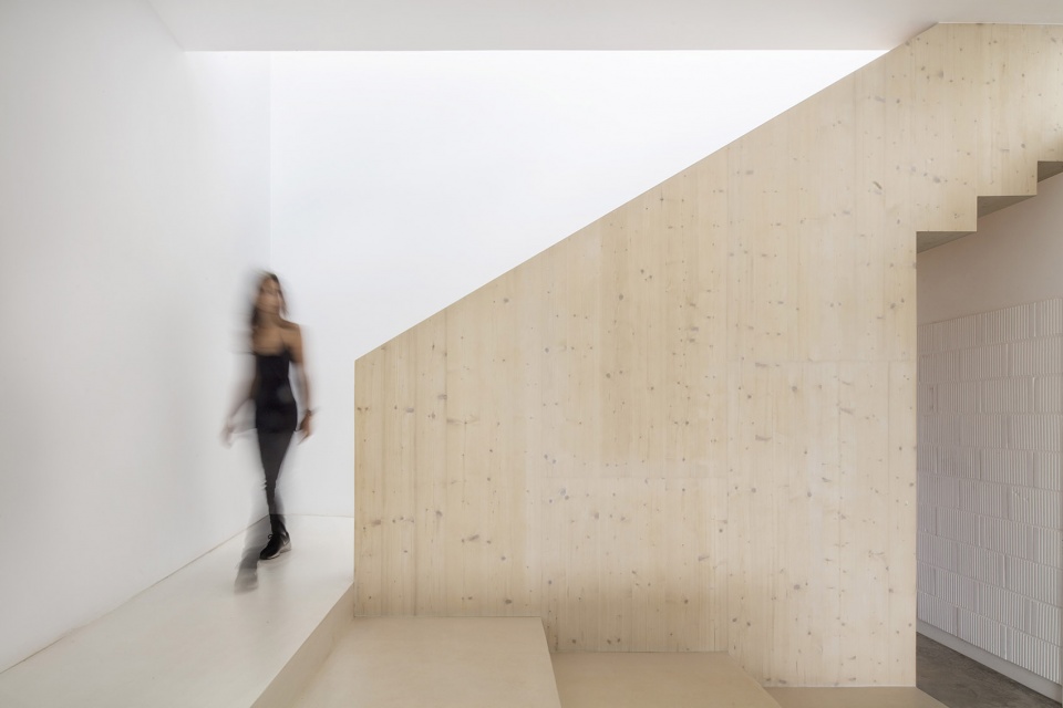 CURVED HOUSE by NOMO STUDIO
