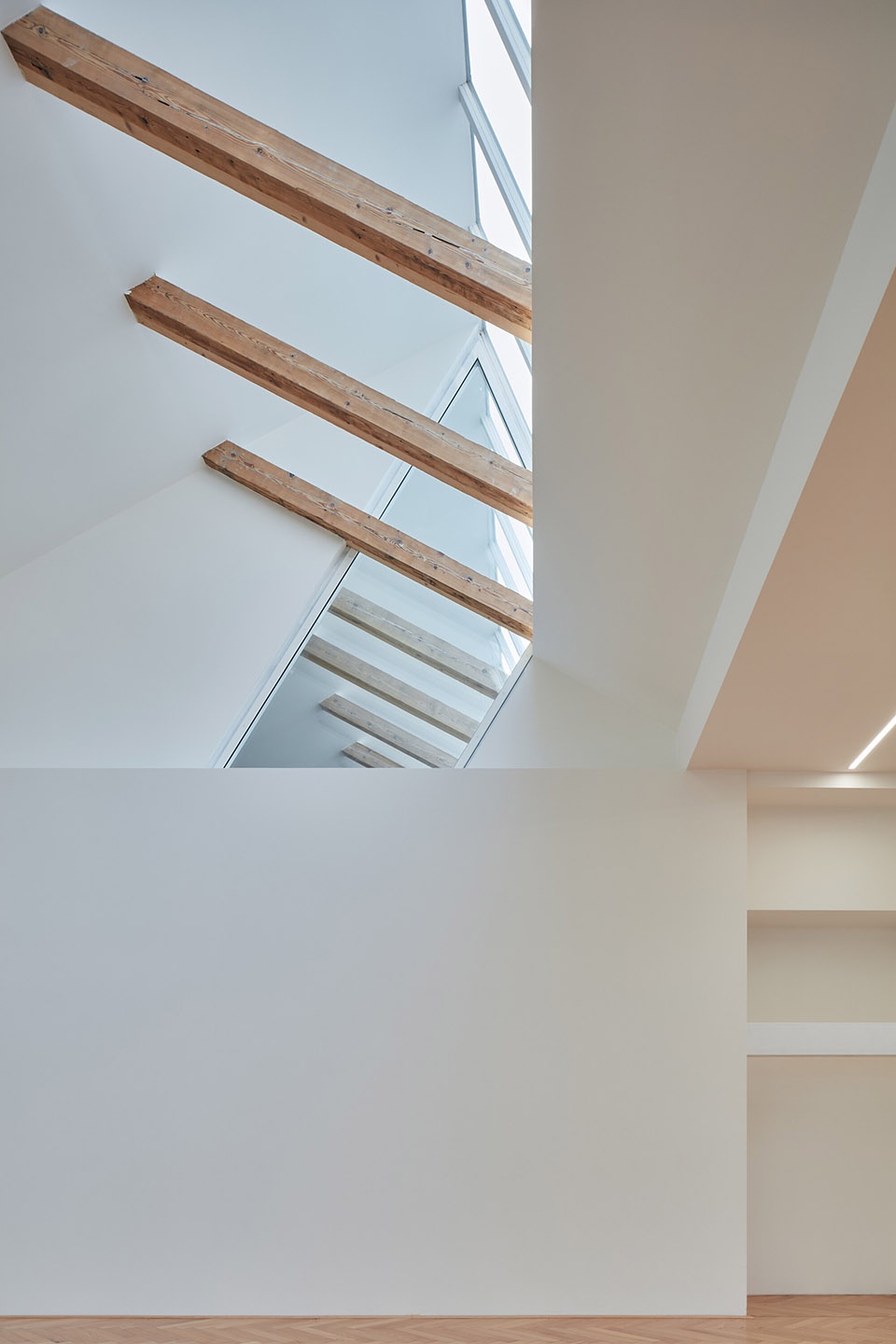 Yoga Garden Art Gallery Brno by RO AR Szymon Rozwalka architects