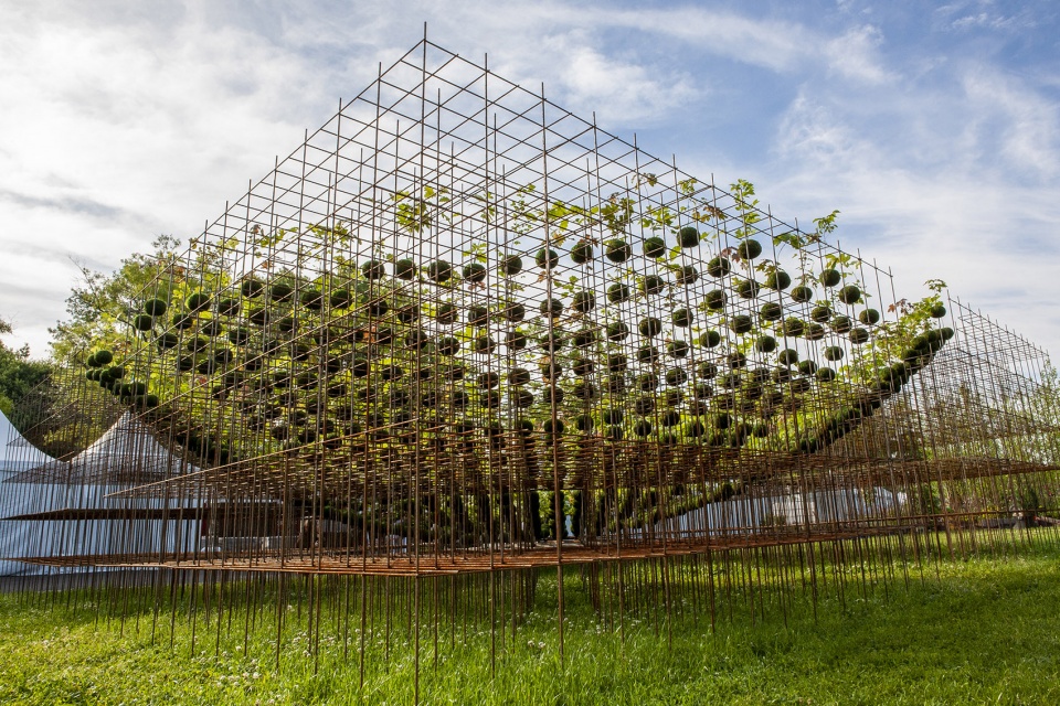 kokedama forest by nomad studio