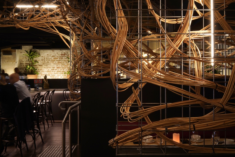 forty licks by gsbn studio