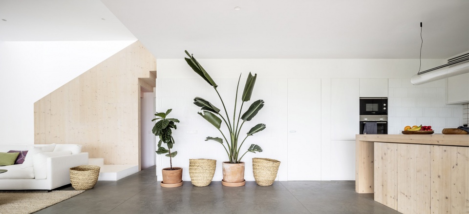 CURVED HOUSE by NOMO STUDIO