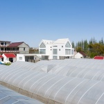 Wang宅，上海 / 元秀万建筑事务所
