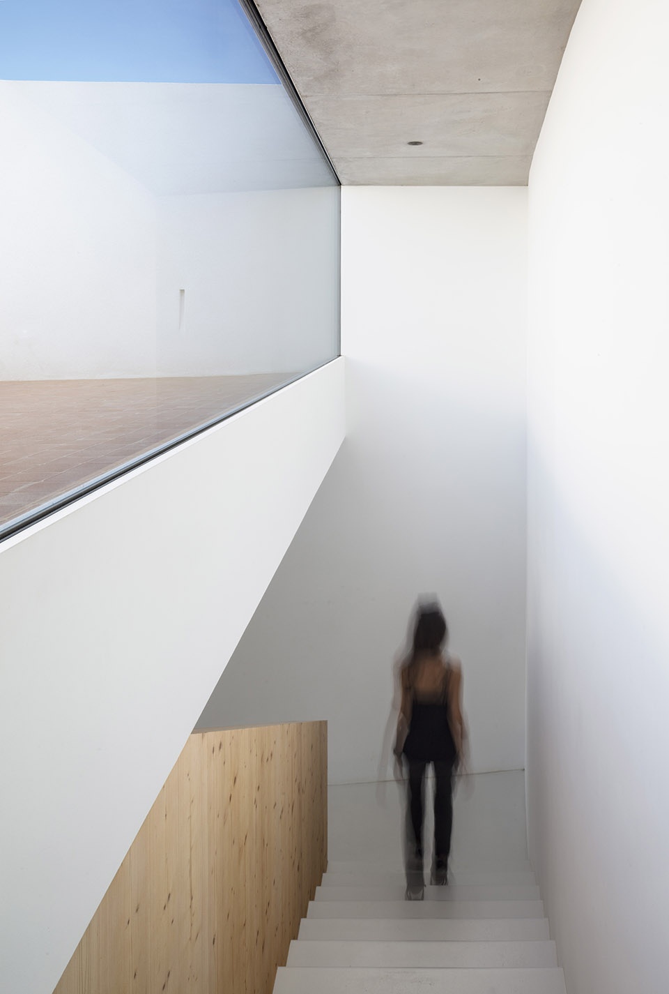 CURVED HOUSE by NOMO STUDIO
