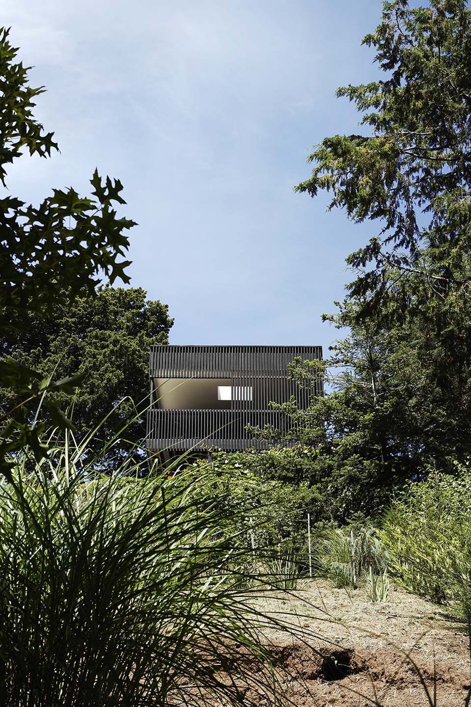 kyneton house by mrtn architects