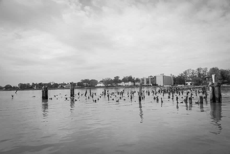 groundswell by mark reigelman