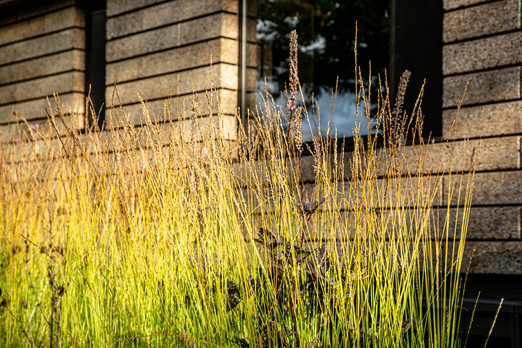 The Cork House by Matthew Howland + Dido Milne + Oliver Wilton