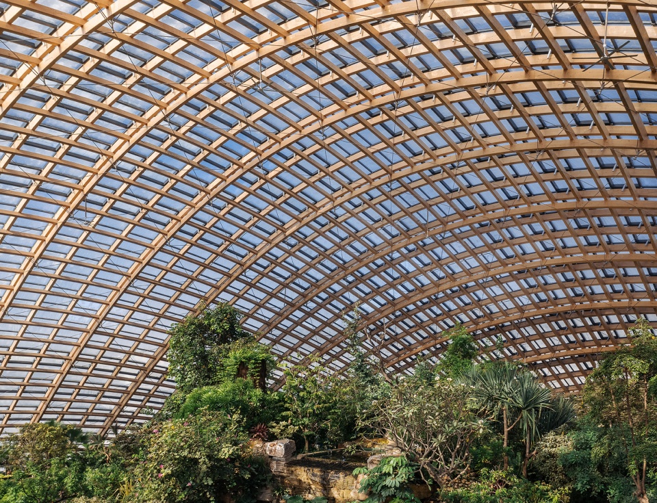 Taiyuan Botanical Garden dmaa