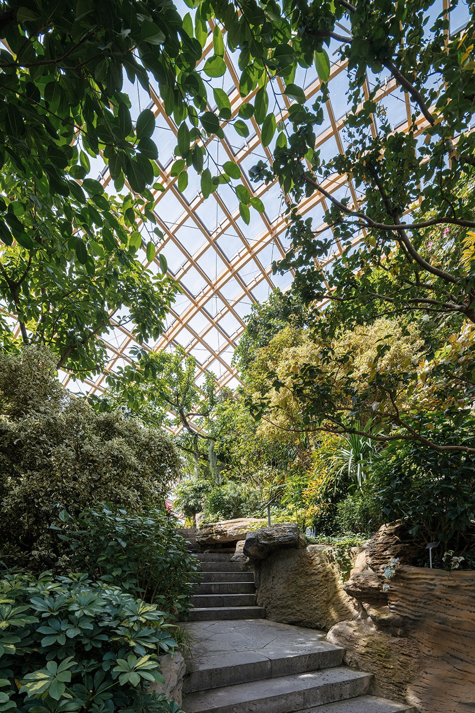 Taiyuan Botanical Garden dmaa
