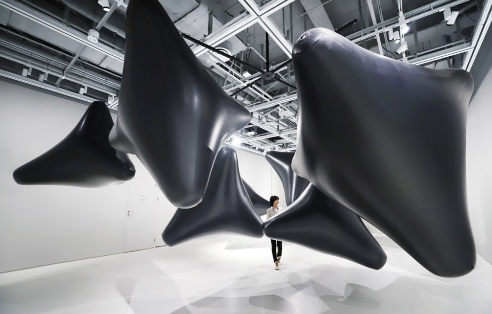 光黑洞白噪声装置展vincentleroy