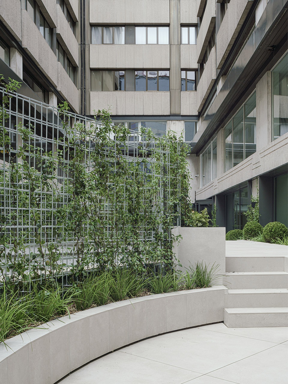 azora offices madrid by francesc rife studio