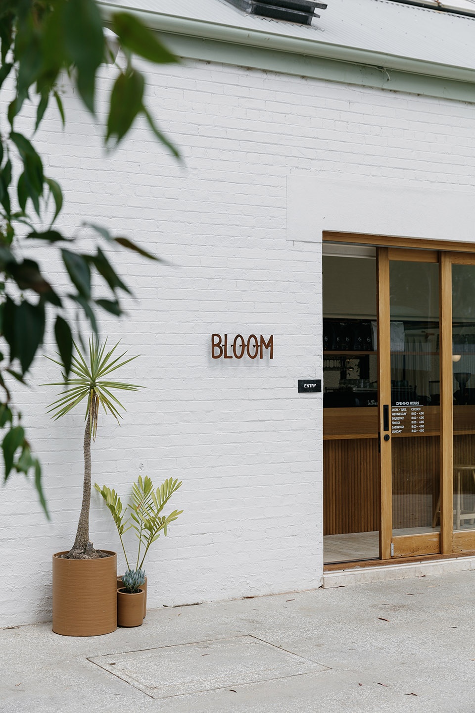 bloom australia by sans arc studio