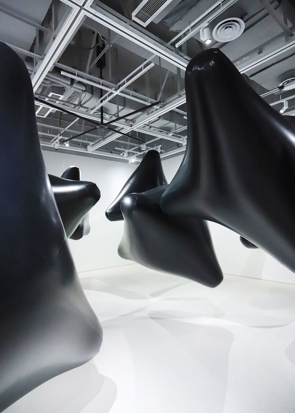 光黑洞白噪声装置展vincentleroy