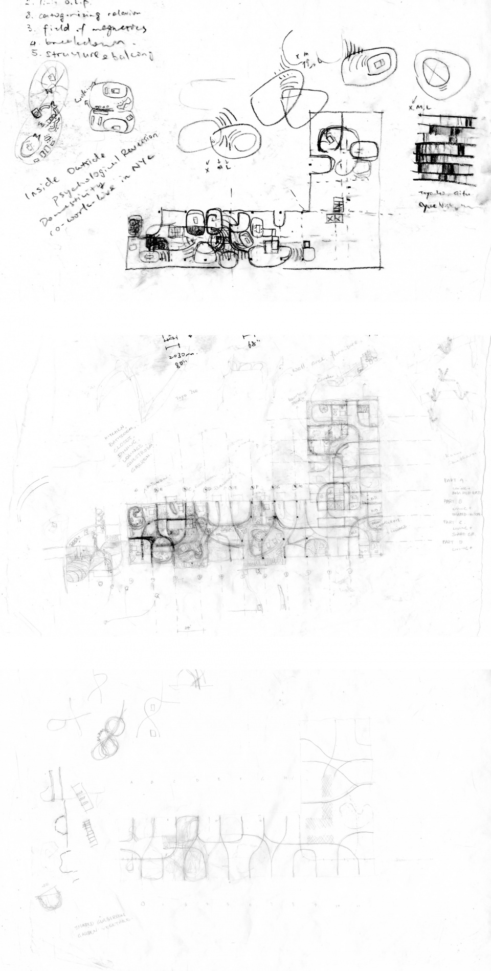 overseas tong zhou
