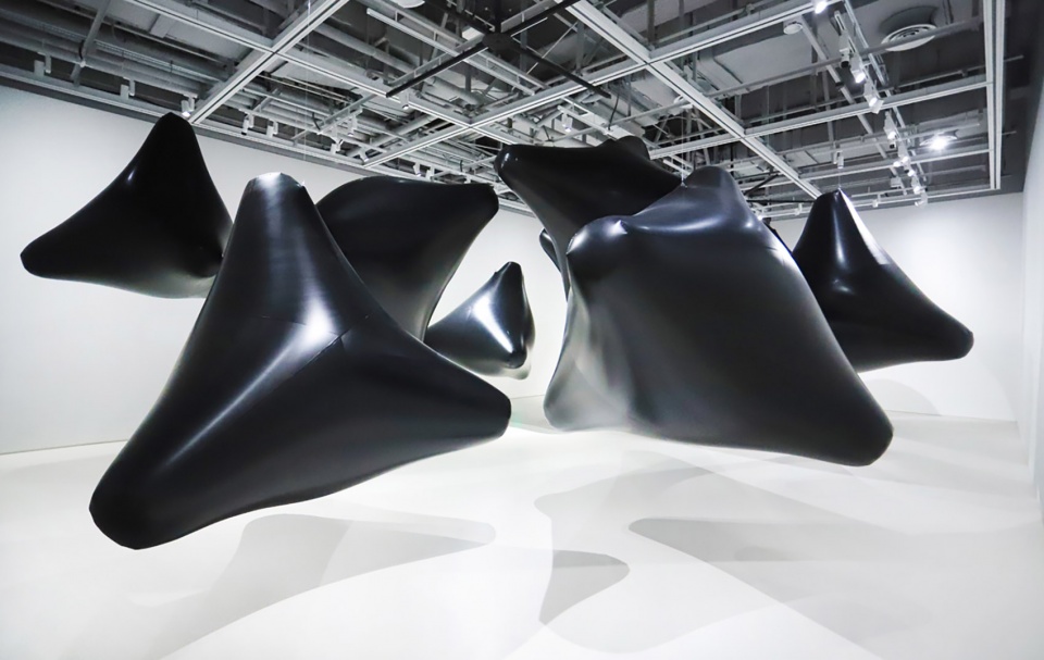 光黑洞白噪声装置展vincentleroy