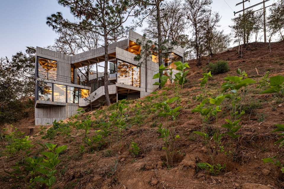 Silk Worm Sanctuary by LAMZ Arquitectura