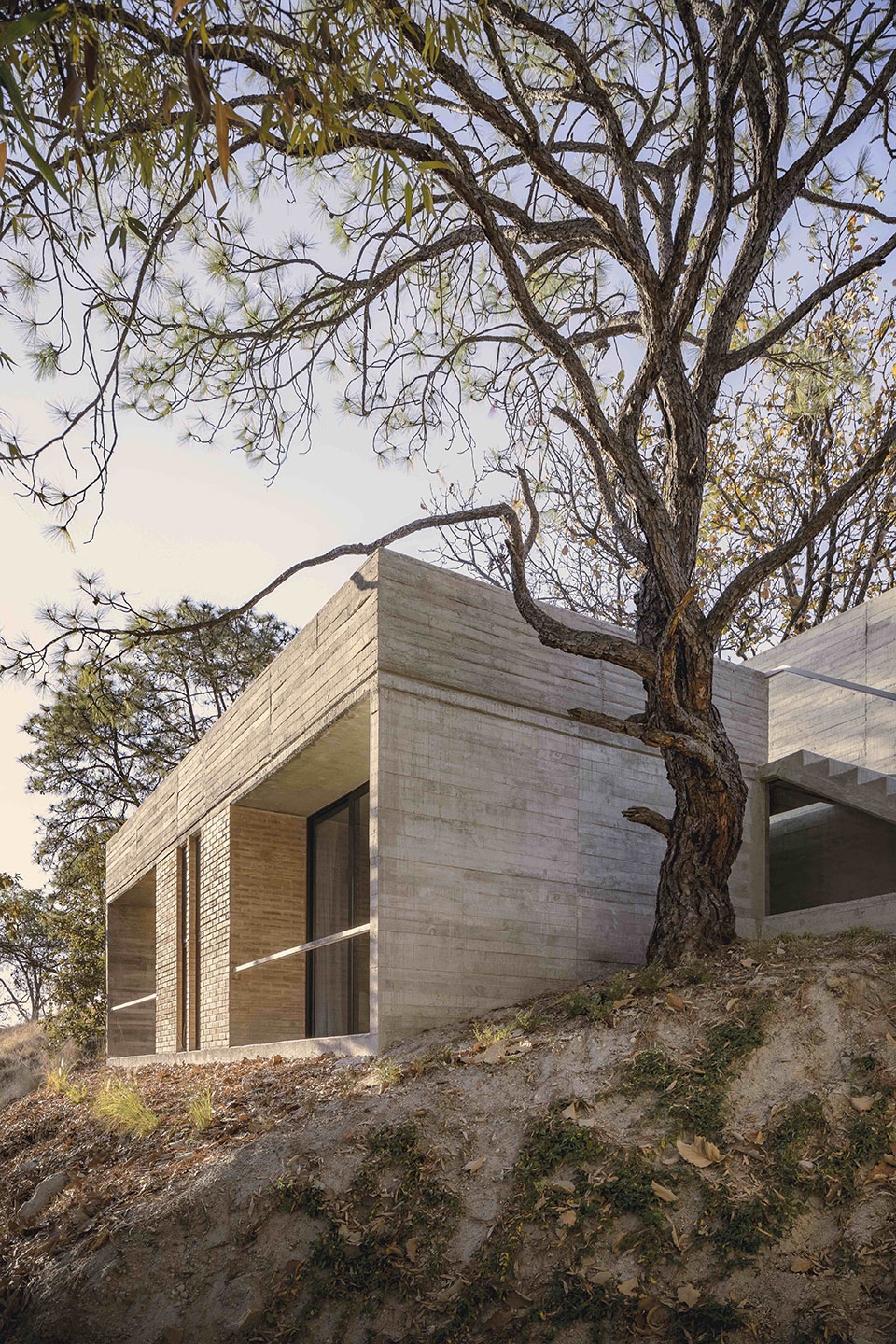 CASA AMAPA by Perez Gomez Arquitectura