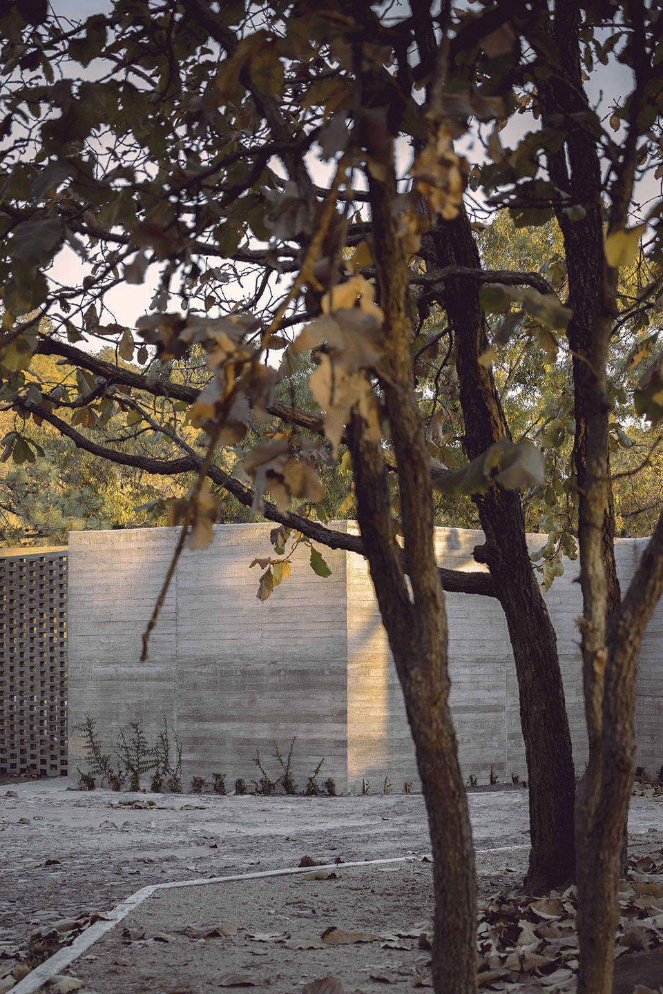 CASA AMAPA by Perez Gomez Arquitectura