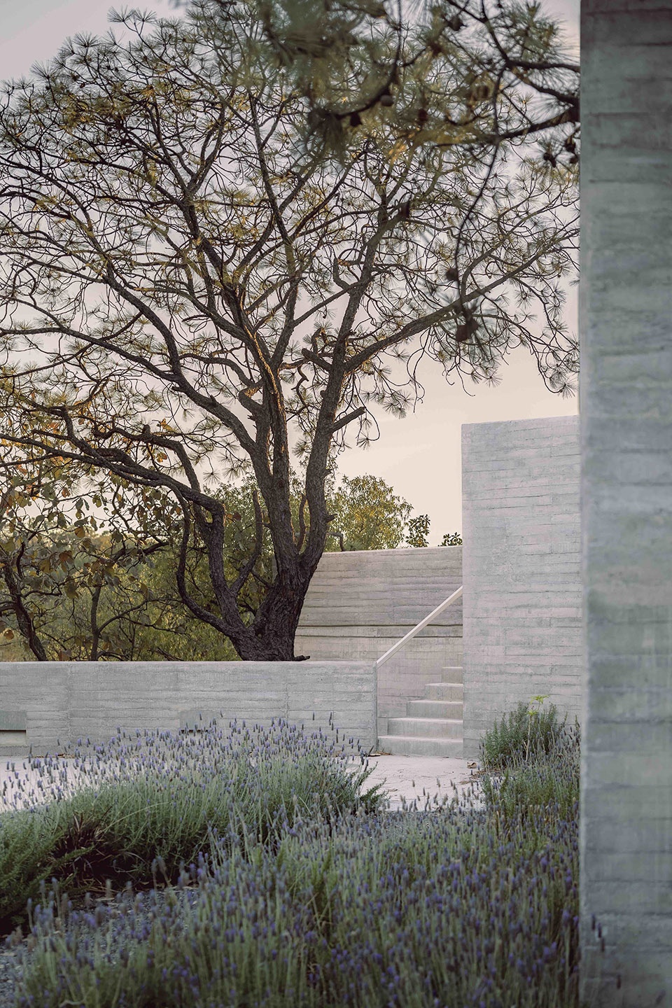CASA AMAPA by Perez Gomez Arquitectura