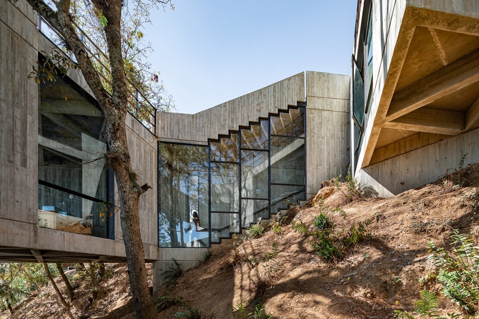 Silk Worm Sanctuary by LAMZ Arquitectura