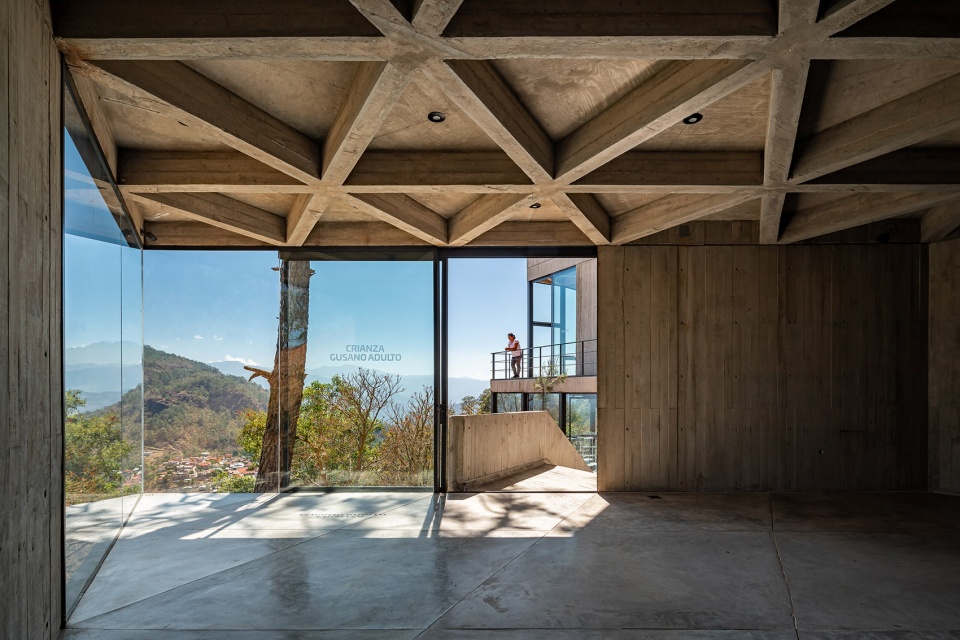 Silk Worm Sanctuary by LAMZ Arquitectura