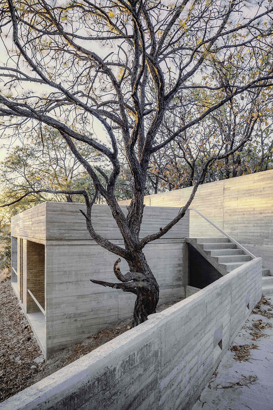 CASA AMAPA by Perez Gomez Arquitectura