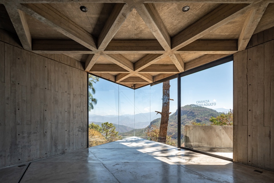 Silk Worm Sanctuary by LAMZ Arquitectura