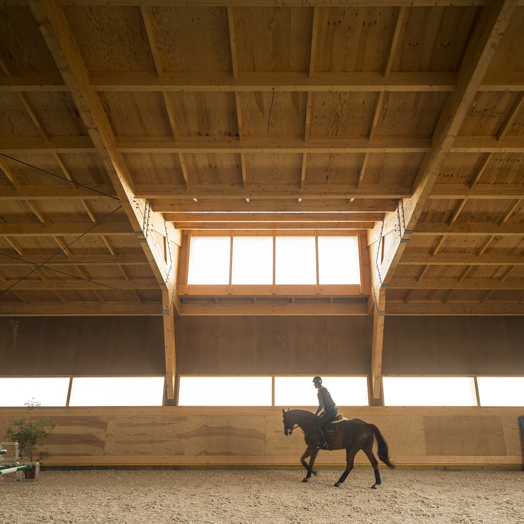 equestrian centre by carlos castanheira