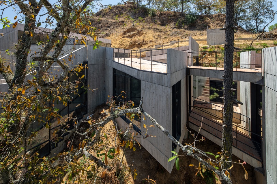 Silk Worm Sanctuary by LAMZ Arquitectura