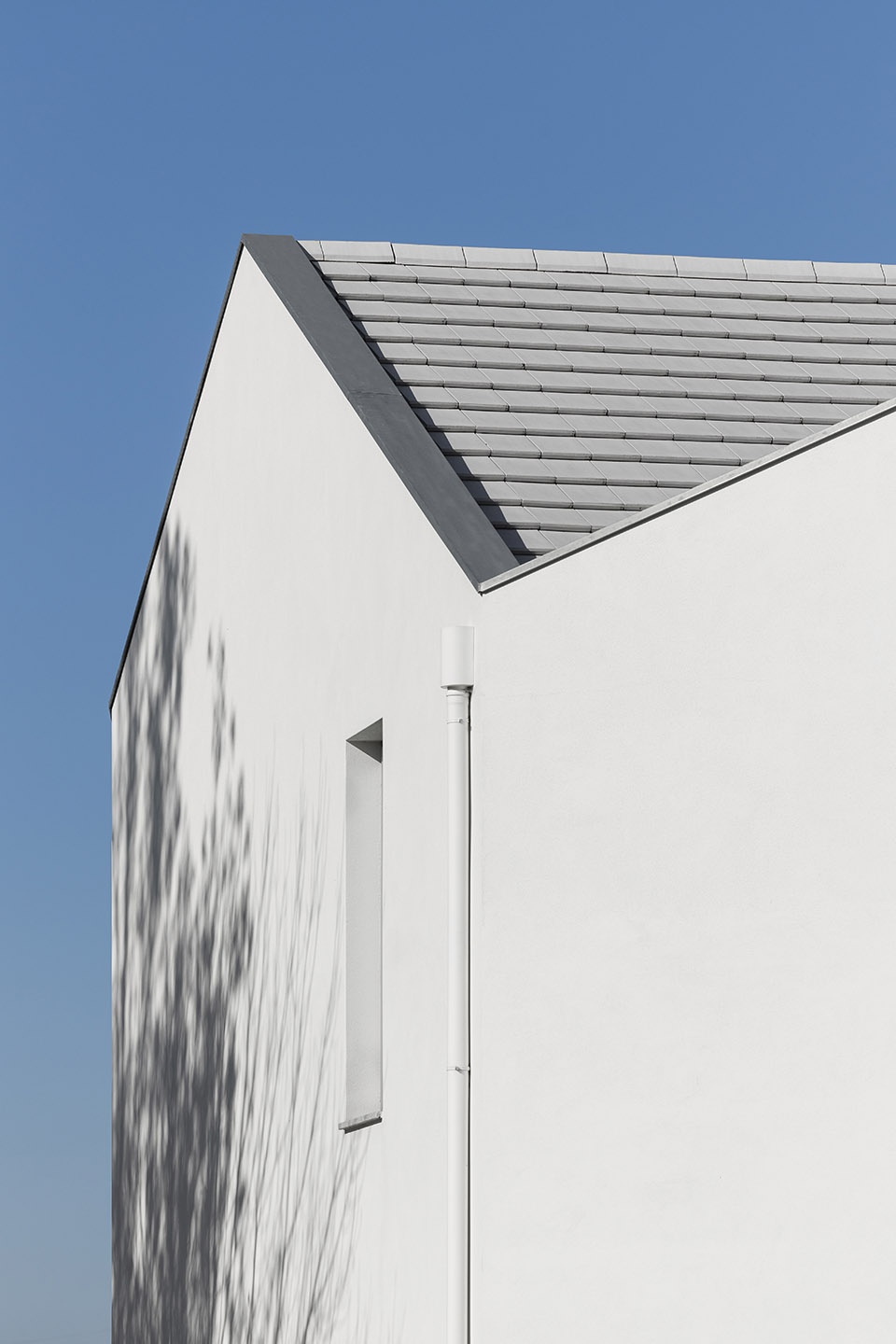 Sao Bernardo Elementary School Aveiro by ARTE TECToNiCA