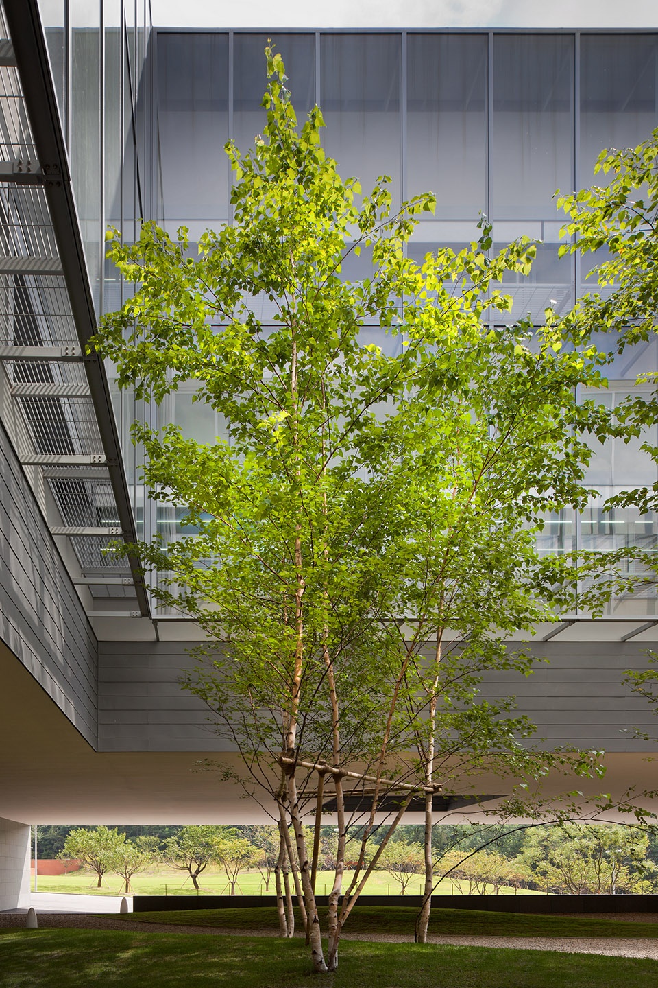 Amore Pacific Research and Design Center Alvaro Siza Carlos Castanheira Kim Jang Kyu