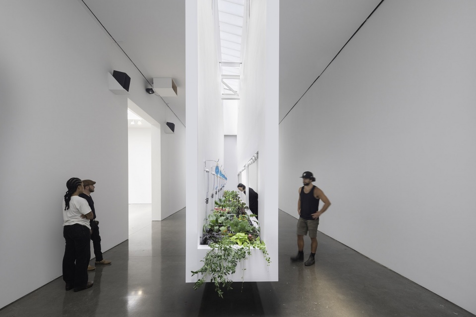 dsr collaborates with linda goode bryant on a fully operational urban farm in gagosians chelsea gallery