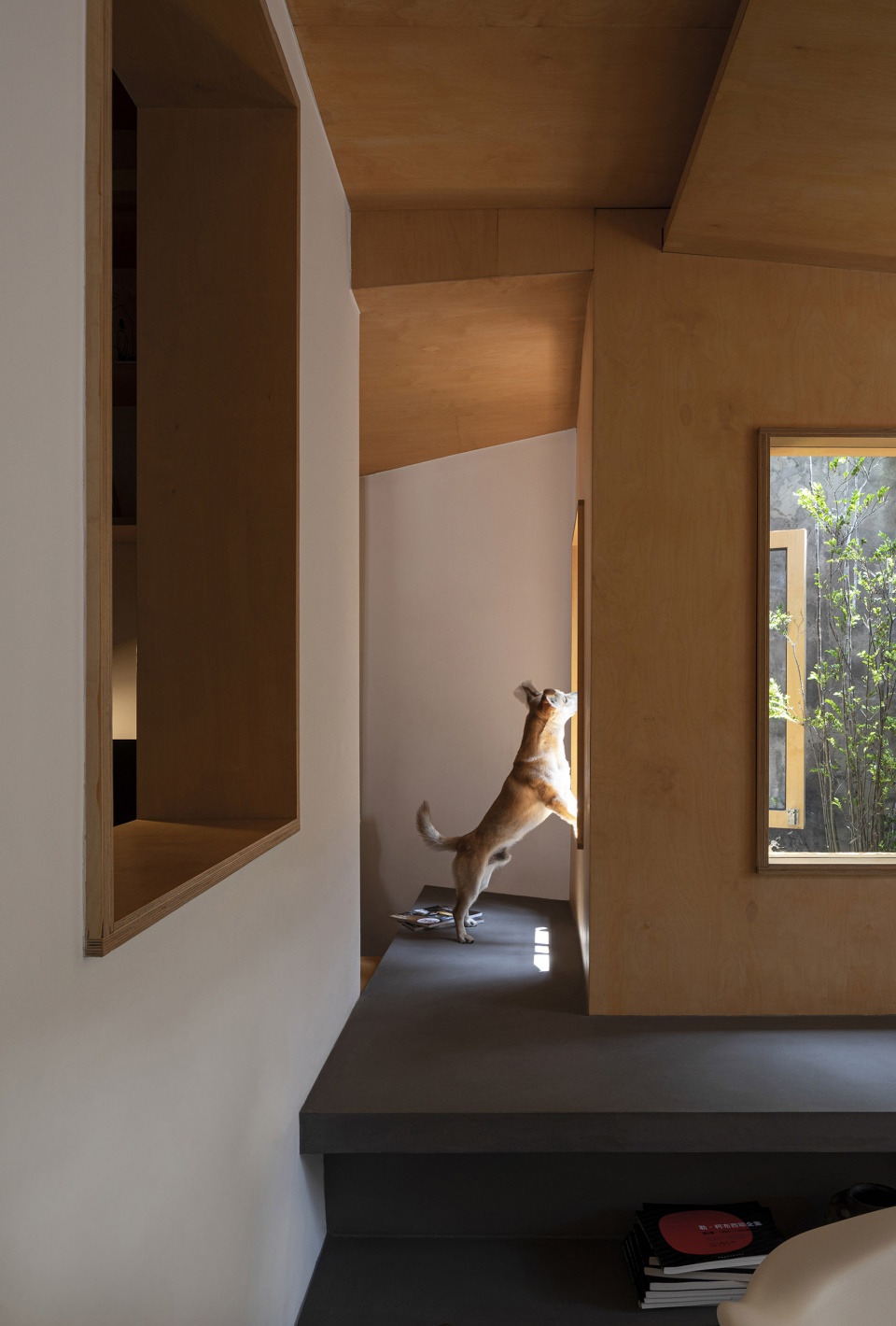 no 16 house china by mou architecture studio