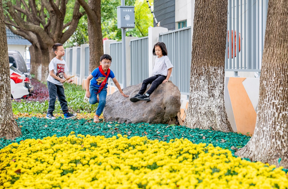 Dongtang Street renovation Edging design