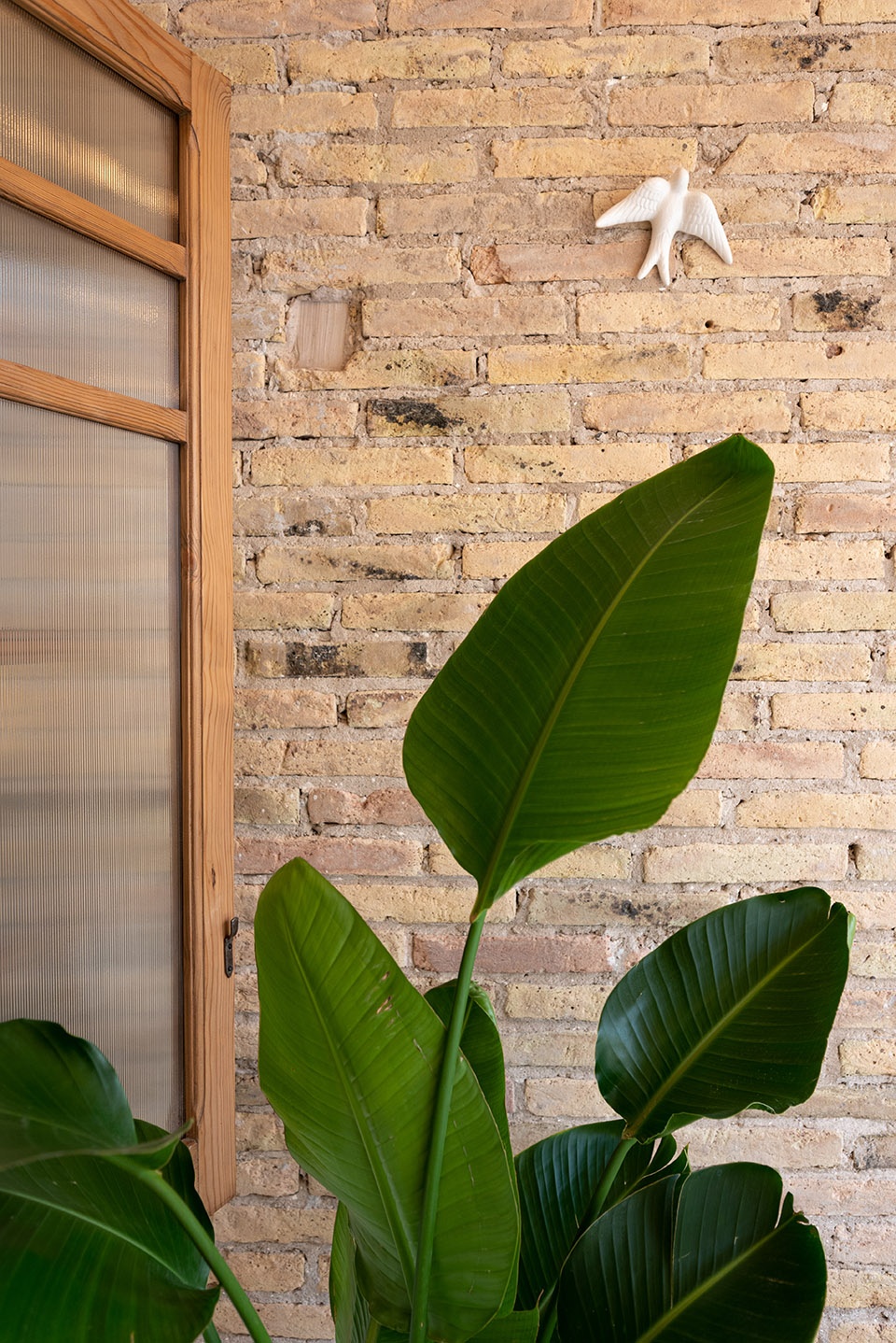 Vitale studio headquarter