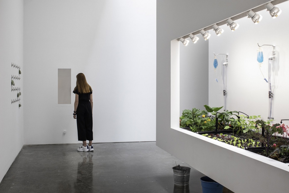 dsr collaborates with linda goode bryant on a fully operational urban farm in gagosians chelsea gallery