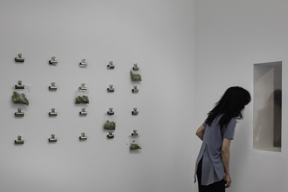 dsr collaborates with linda goode bryant on a fully operational urban farm in gagosians chelsea gallery