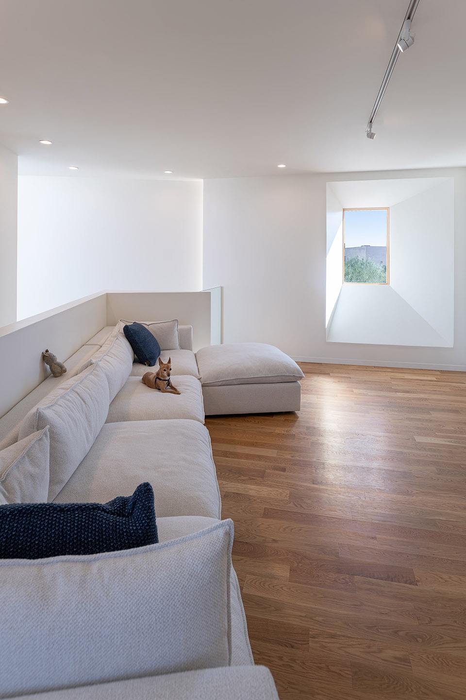 Casa Schneider Ibarra Rosano Design Architects