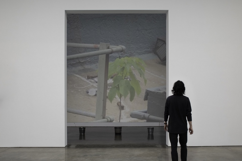 dsr collaborates with linda goode bryant on a fully operational urban farm in gagosians chelsea gallery