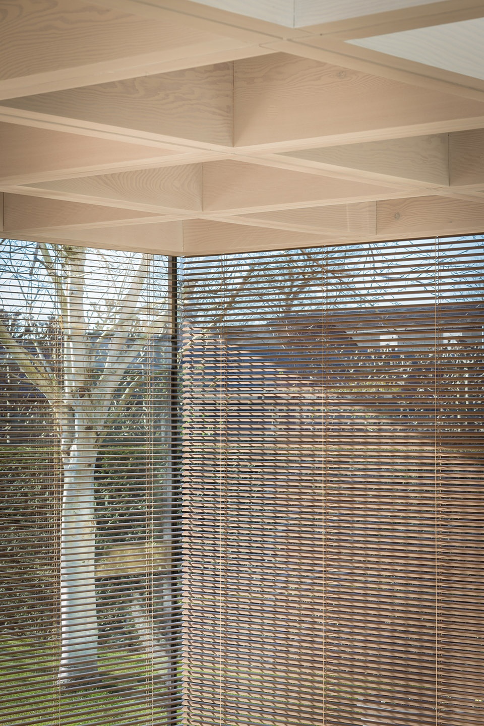 Pavilion Extension by Ashworth Parkes Architects Ltd