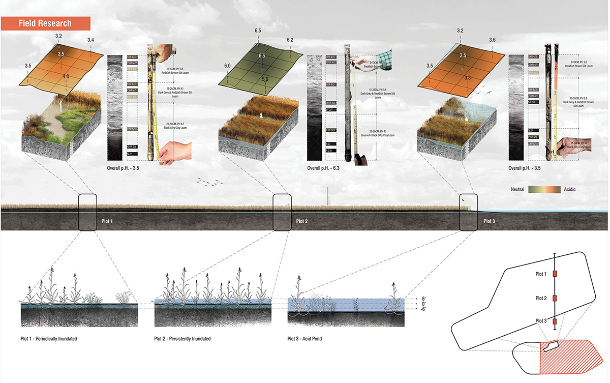 2020 asla research award of honor seeding specificity materials and methods for novel ecoystems mahan rykiel associates
