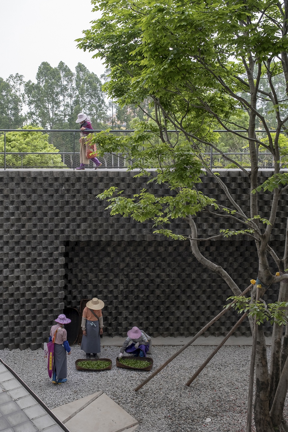 reforming duichuan tea yards china by o office architects