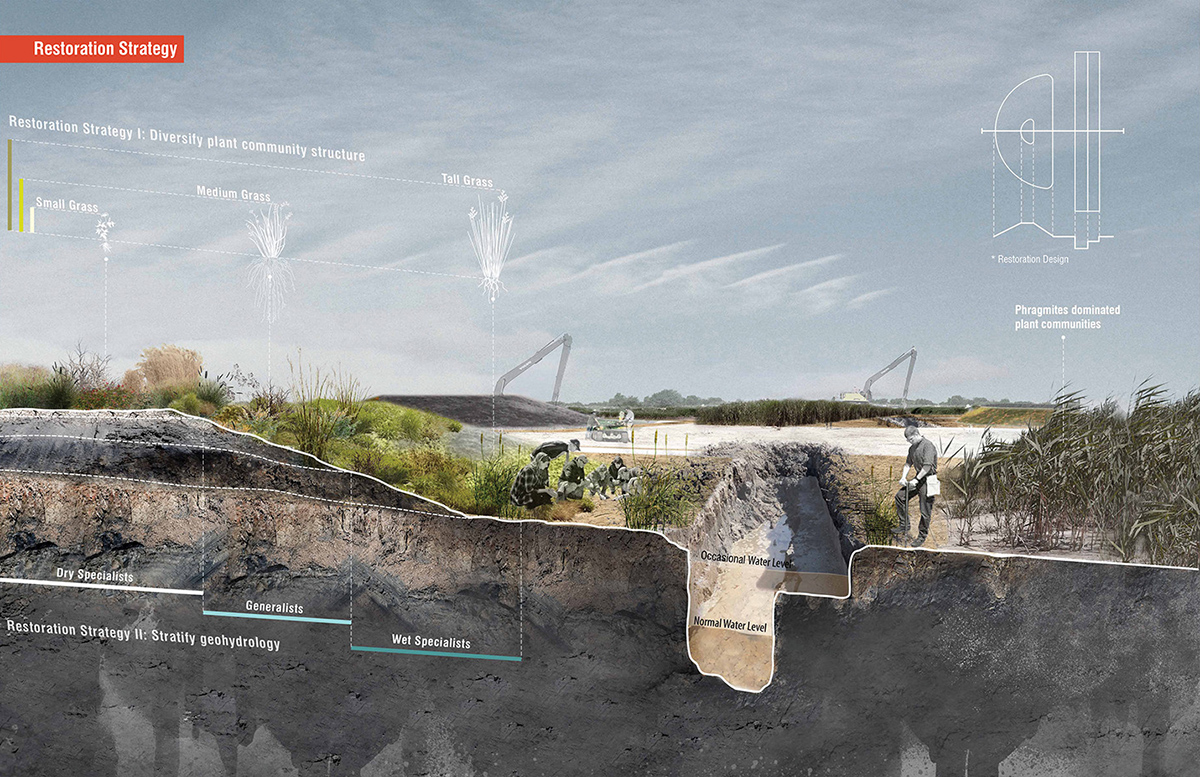 2020 asla research award of honor seeding specificity materials and methods for novel ecoystems mahan rykiel associates