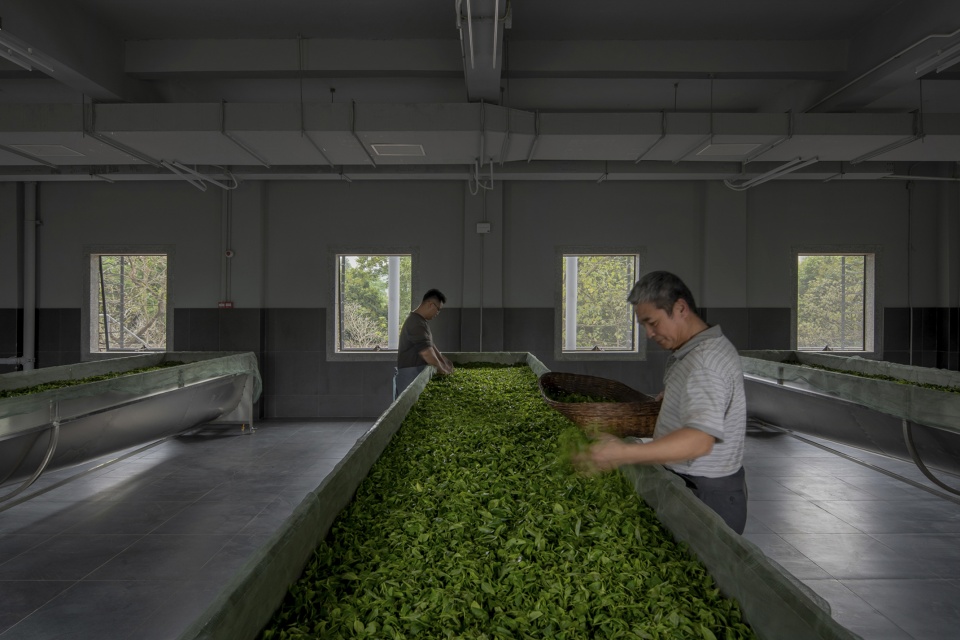 reforming duichuan tea yards china by o office architects