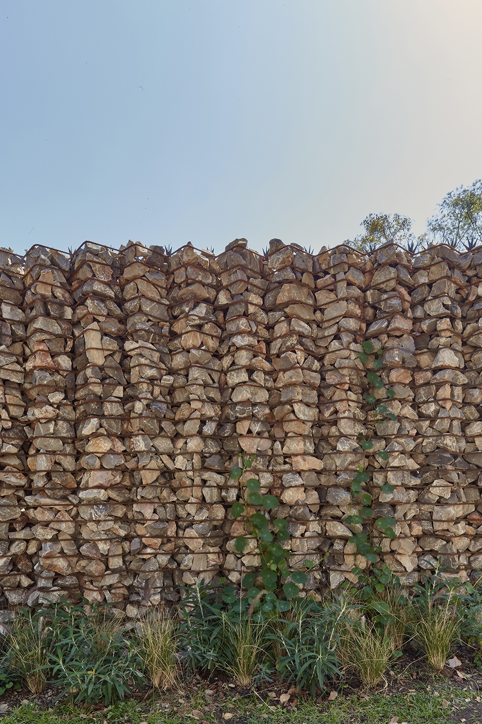 el terreno by vertebral